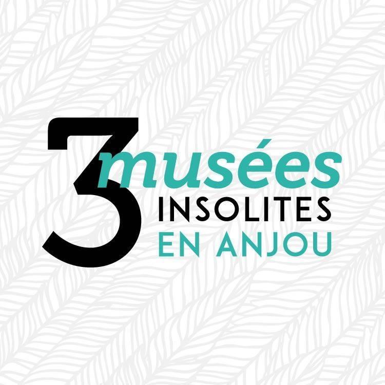 Vacances de la Toussaint - 3 musées insolites en Anjou