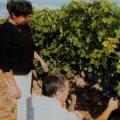 Portes-Ouvertes - Domaine de la Chesnaie