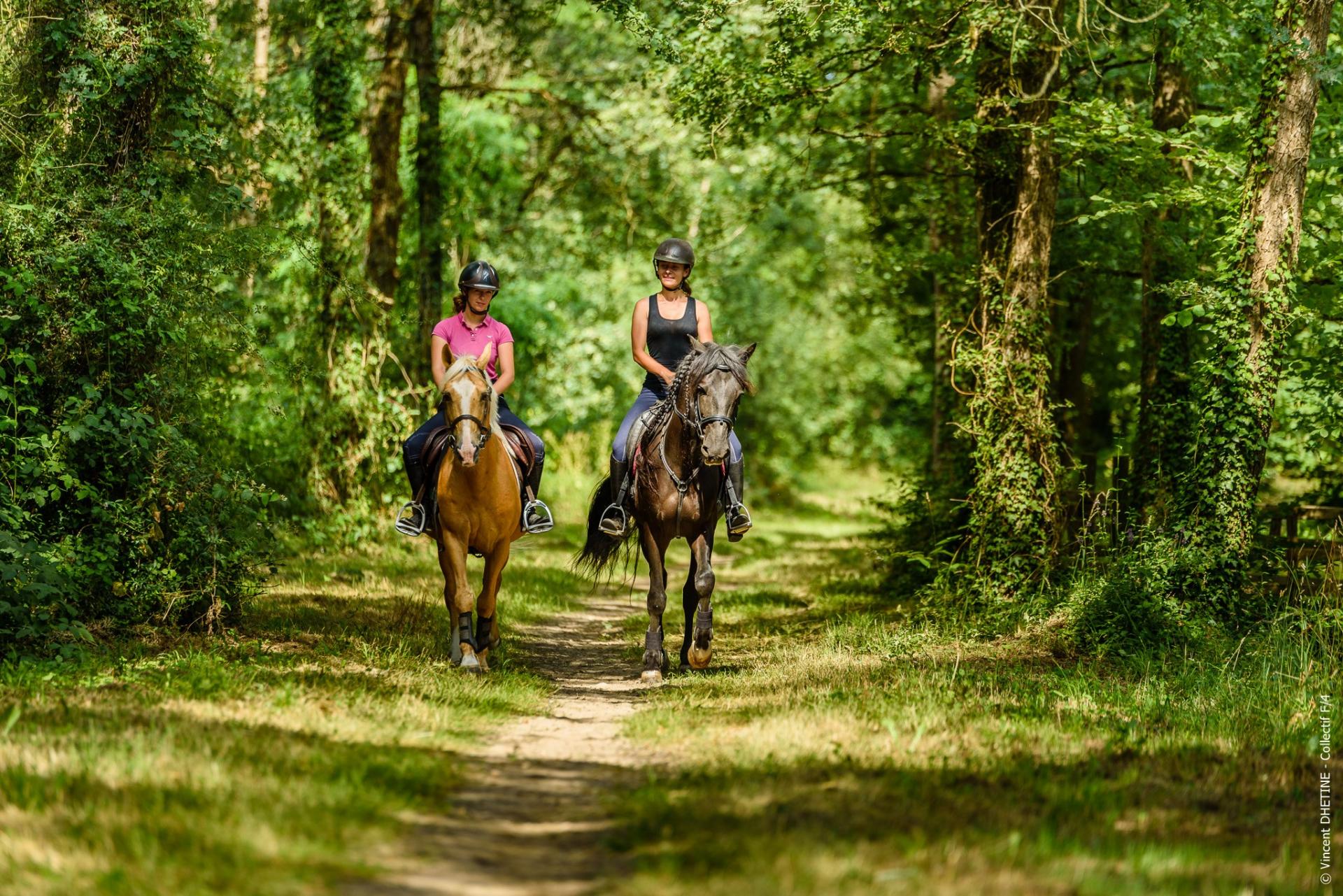 ON EN PARLE ENSEMBLE : Saumur Cheval Festival : un premier festival sur le cheval organisé