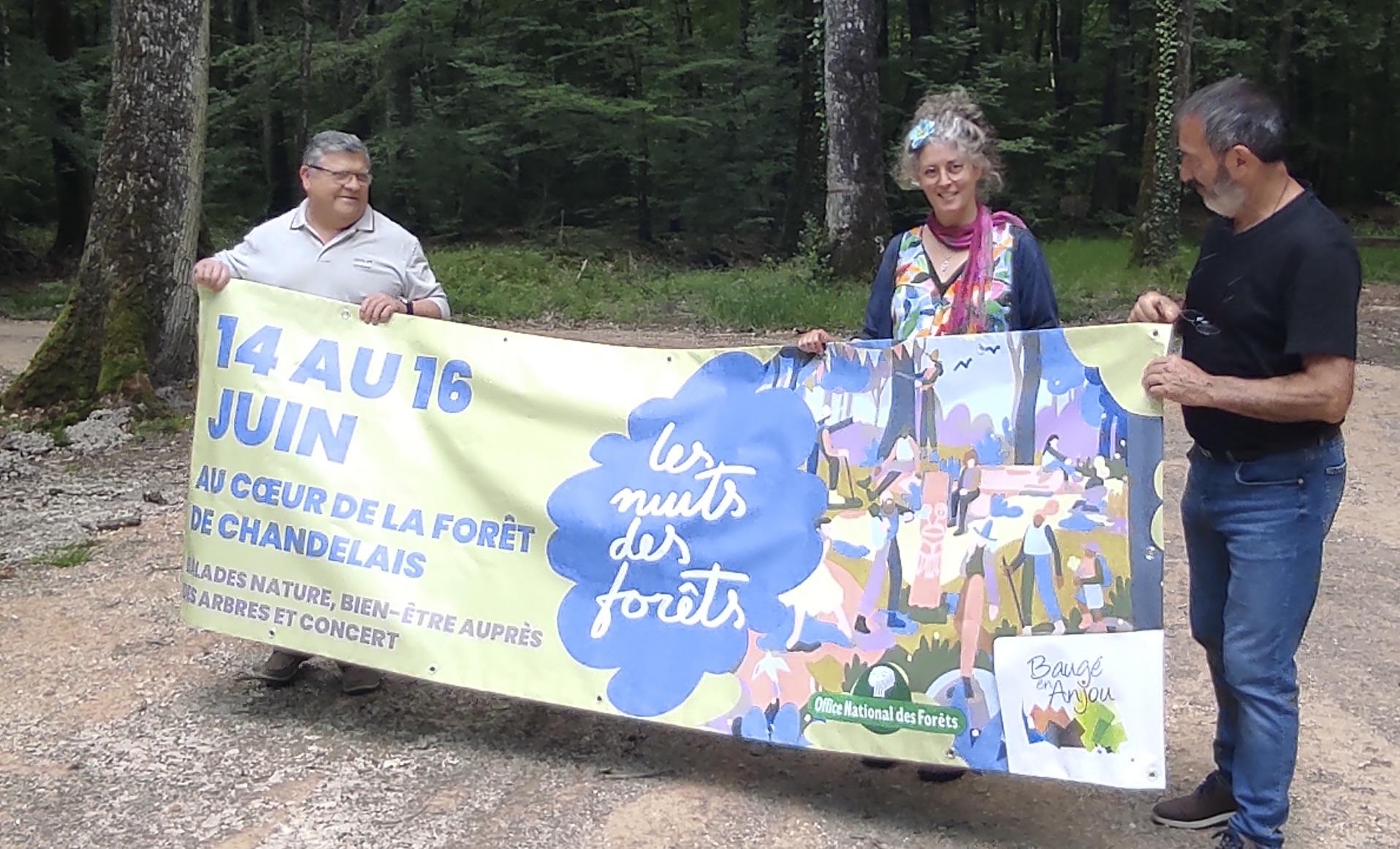 Baugé-en-Anjou. Nuits des Forêts : des animations proposées