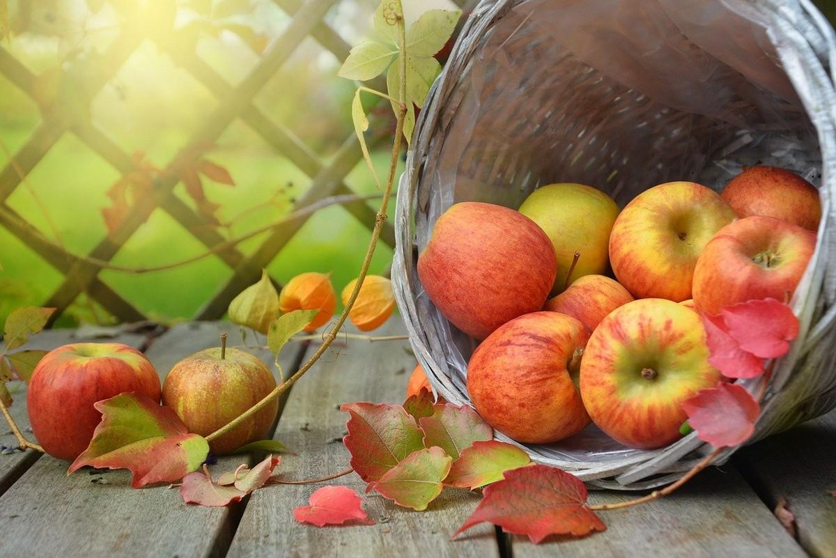 Foire aux Pommes - Mouliherne (49)