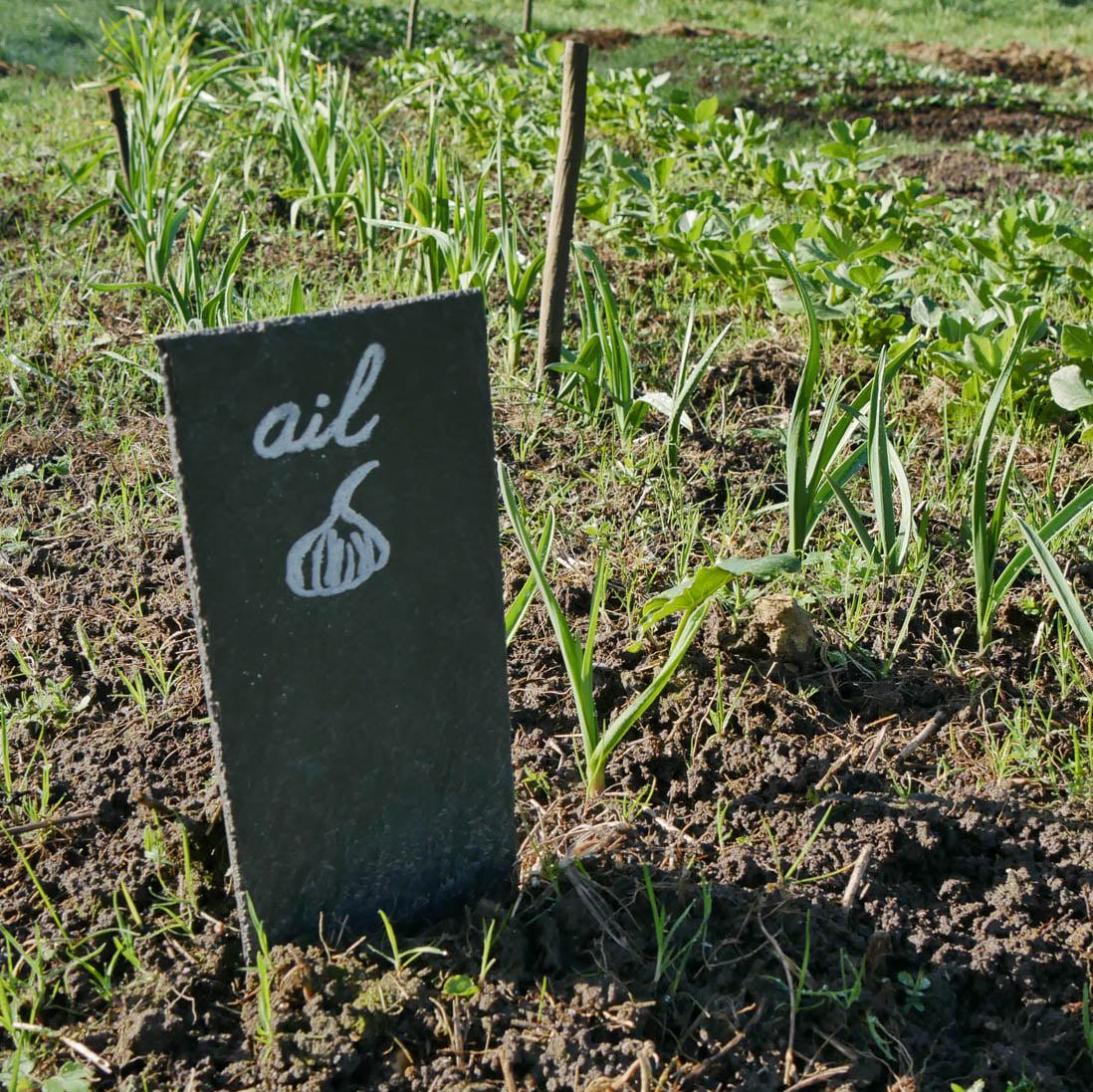 ON EN PARLE ENSEMBLE :  DÉCOUVERTE D'UN JARDIN PARTAGÉ DE GENNES