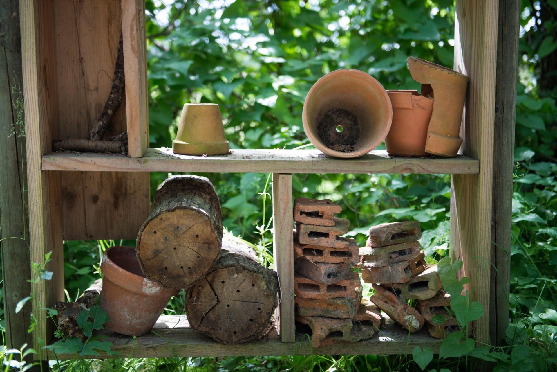 ON EN PARLE ENSEMBLE : Touraine : A la découverte de la nature avec Couleurs Sauvages