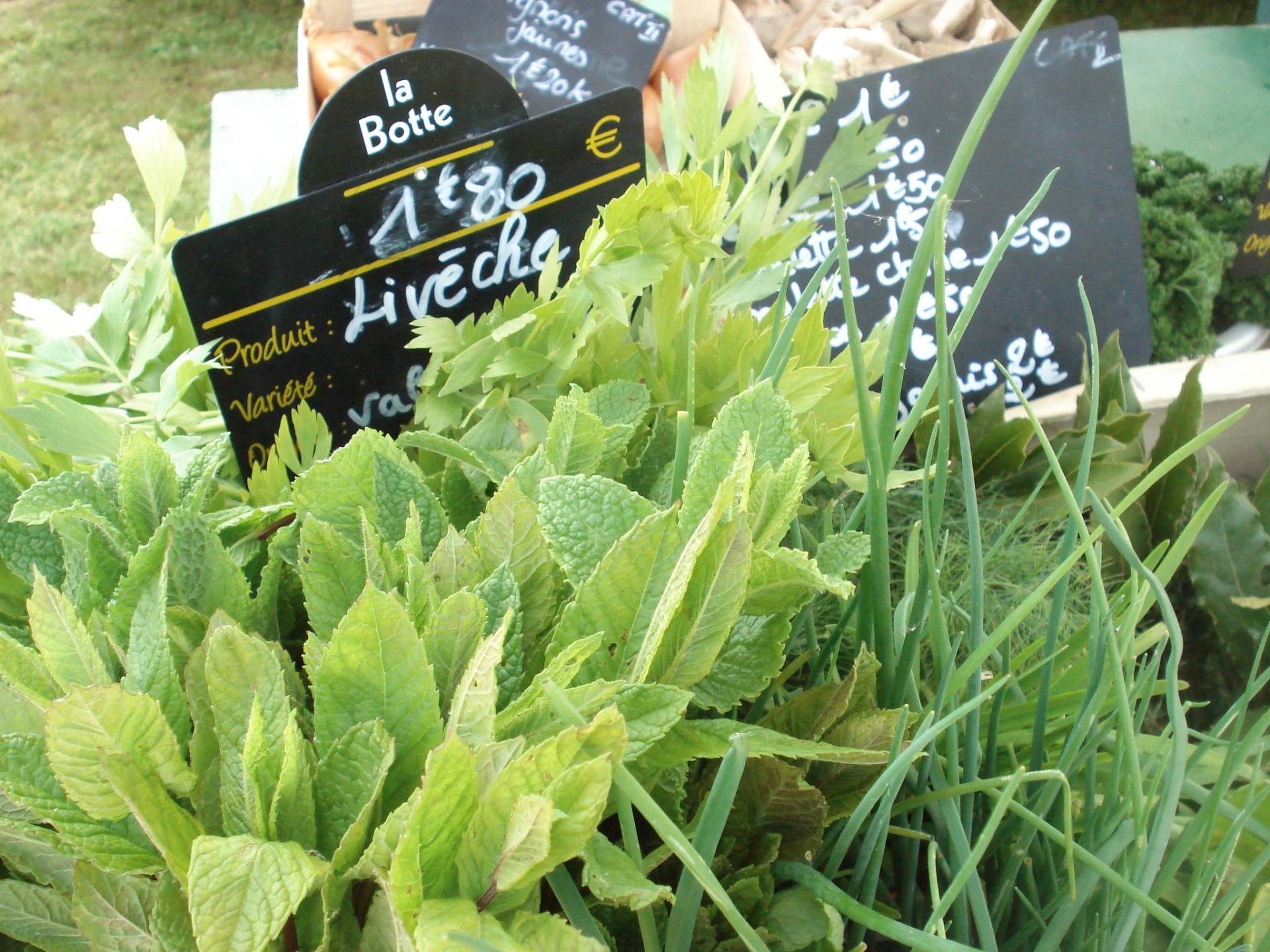 ON EN PARLE ENSEMBLE : Des marchés pour faire le plein de produits locaux dans le nord saumurois