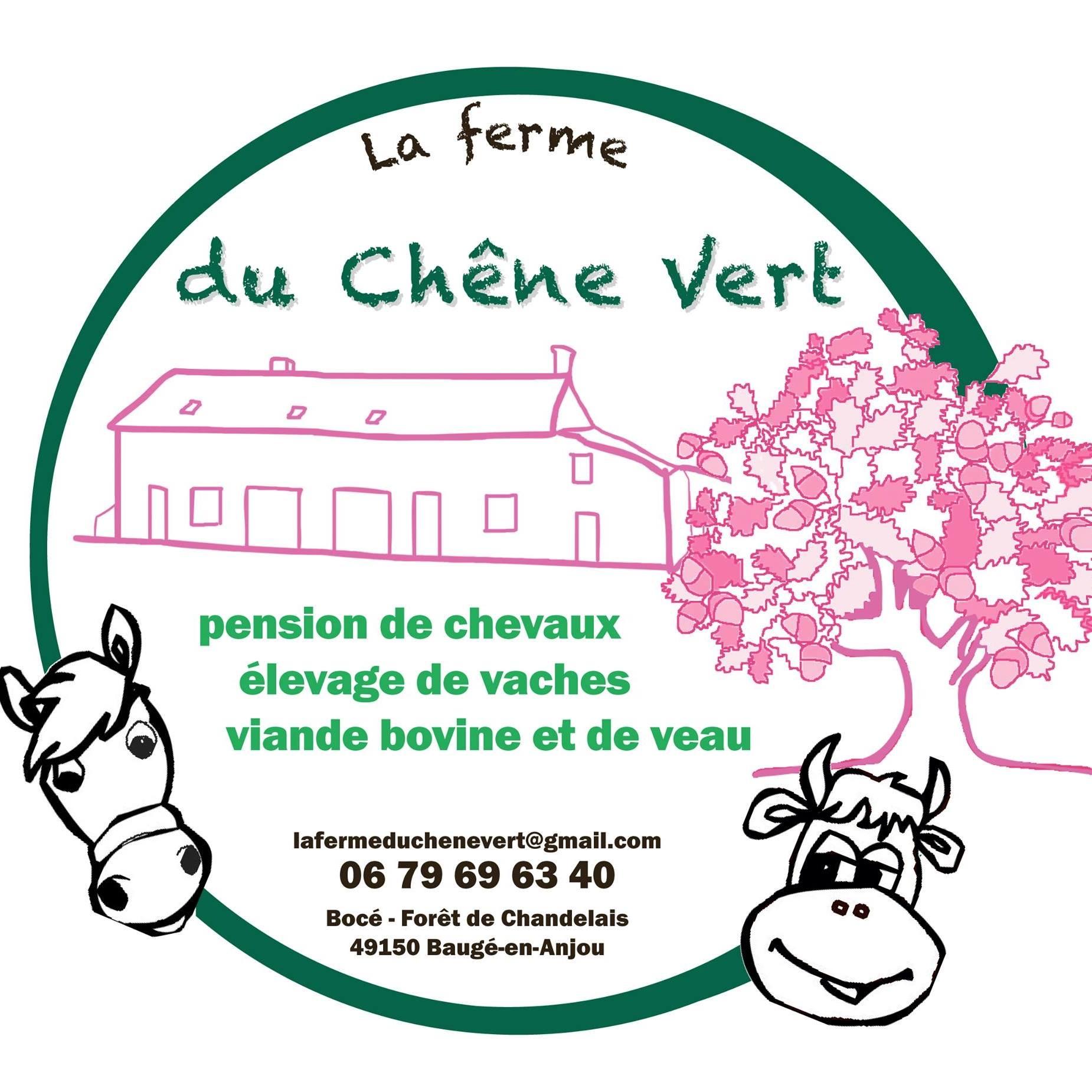 BONS PLANS : VENTE DE VIANDE BIO À LA FERME DU CHÊNE VERT DE BOCÉ (49)