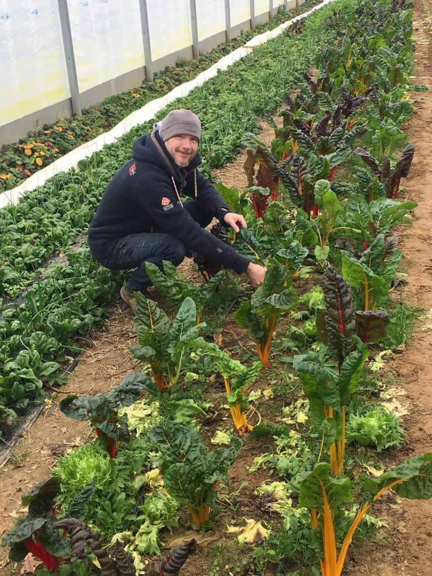 PENSER LOCAL : Donner du sens à la vie, Le potager d’Hector : en bio et circuit court à La Plaine sur Mer