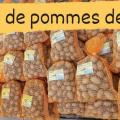 Ouverture exceptionnelle - BJL Potager - Vernoil-le-Fourrier (49)