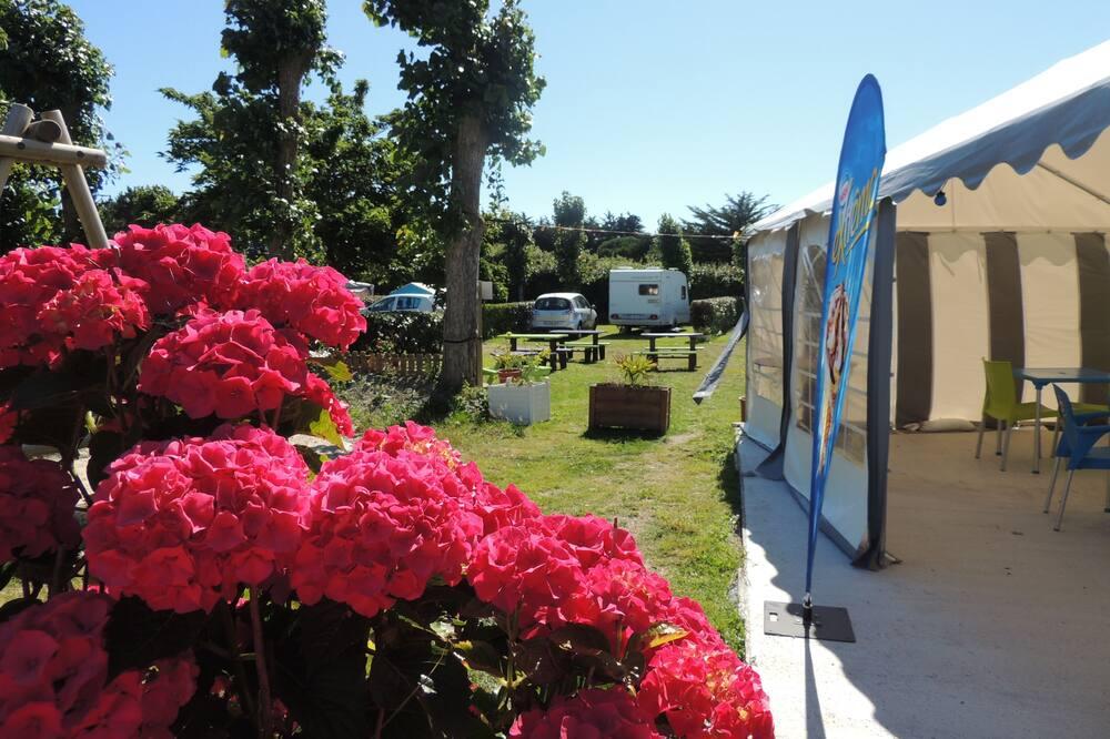 ON EN PARLE ENSEMBLE : LA RECONVERSION PROFESSIONNELLE DANS UN CAMPING