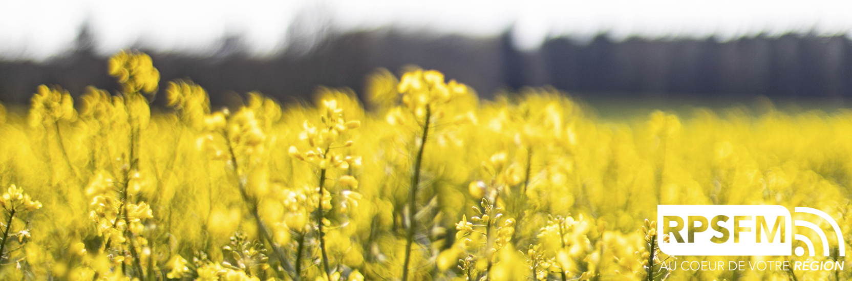 Carrousel juin 2021 2