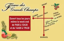 Ferme des Grands Champs - Parçay-les-Pins (49)