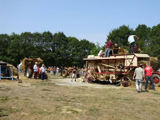 Fête des Battages et vide-grenier - Varennes-sur-Loire (49)