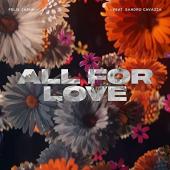 Felix Jaehn - All For Love Ft. Sandro Cavazza