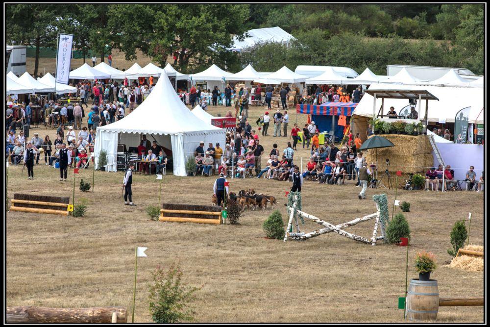 ACTU : Vernoil-le-Fourrier. Nouvelle édition pour la Fête de la Chasse et de la Nature