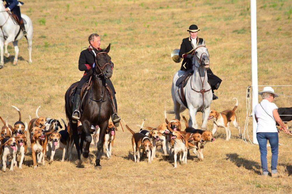 ACTU : Vernoil-le-Fourrier. Retour de la Fête de la Chasse