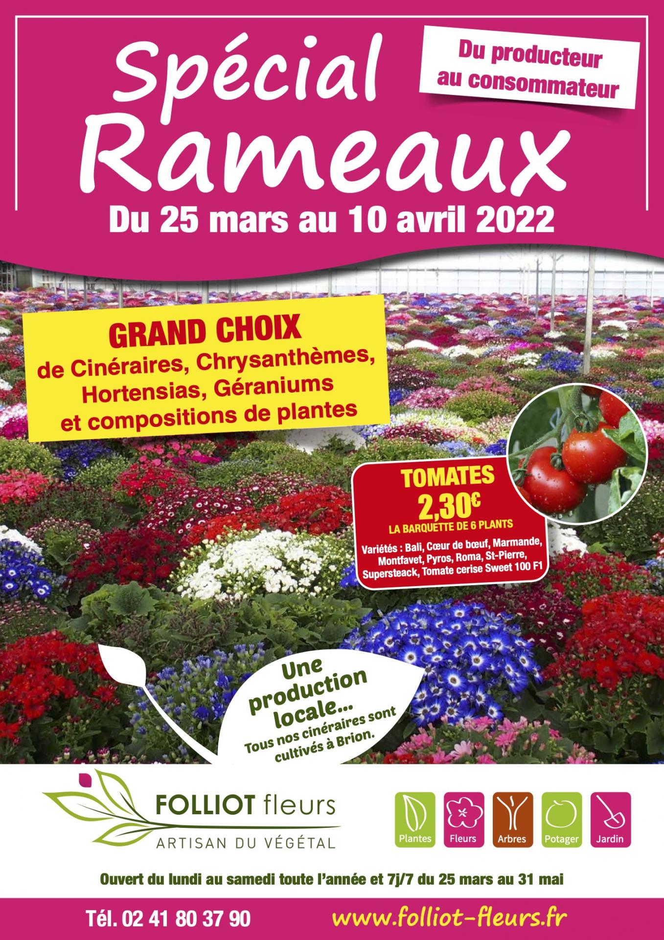 Spécial Rameaux - Folliot Fleurs - Brion (49)