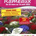 Spécial Rameaux - Folliot Fleurs - Brion (49)