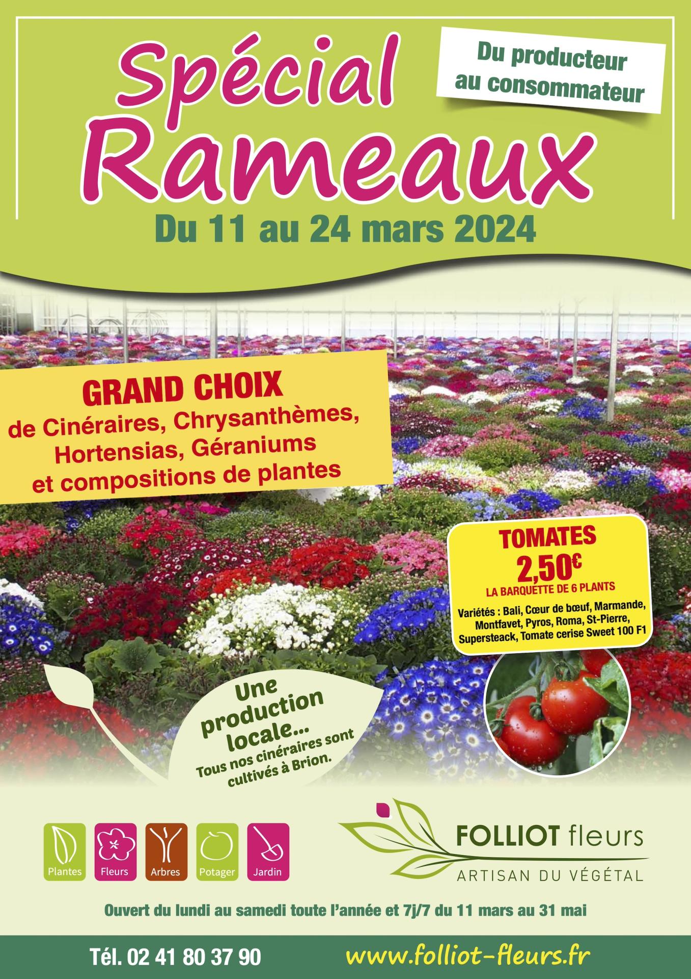 Spécial Rameaux - Folliot Fleurs - Brion (49)