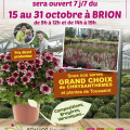 Offre de la Toussaint - Folliot Fleurs - Brion (49)