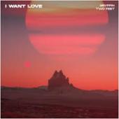 Gryffin Ft. Two Feet - I Want Love