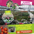 Opération Tomates - Folliot Fleurs - Brion (49)