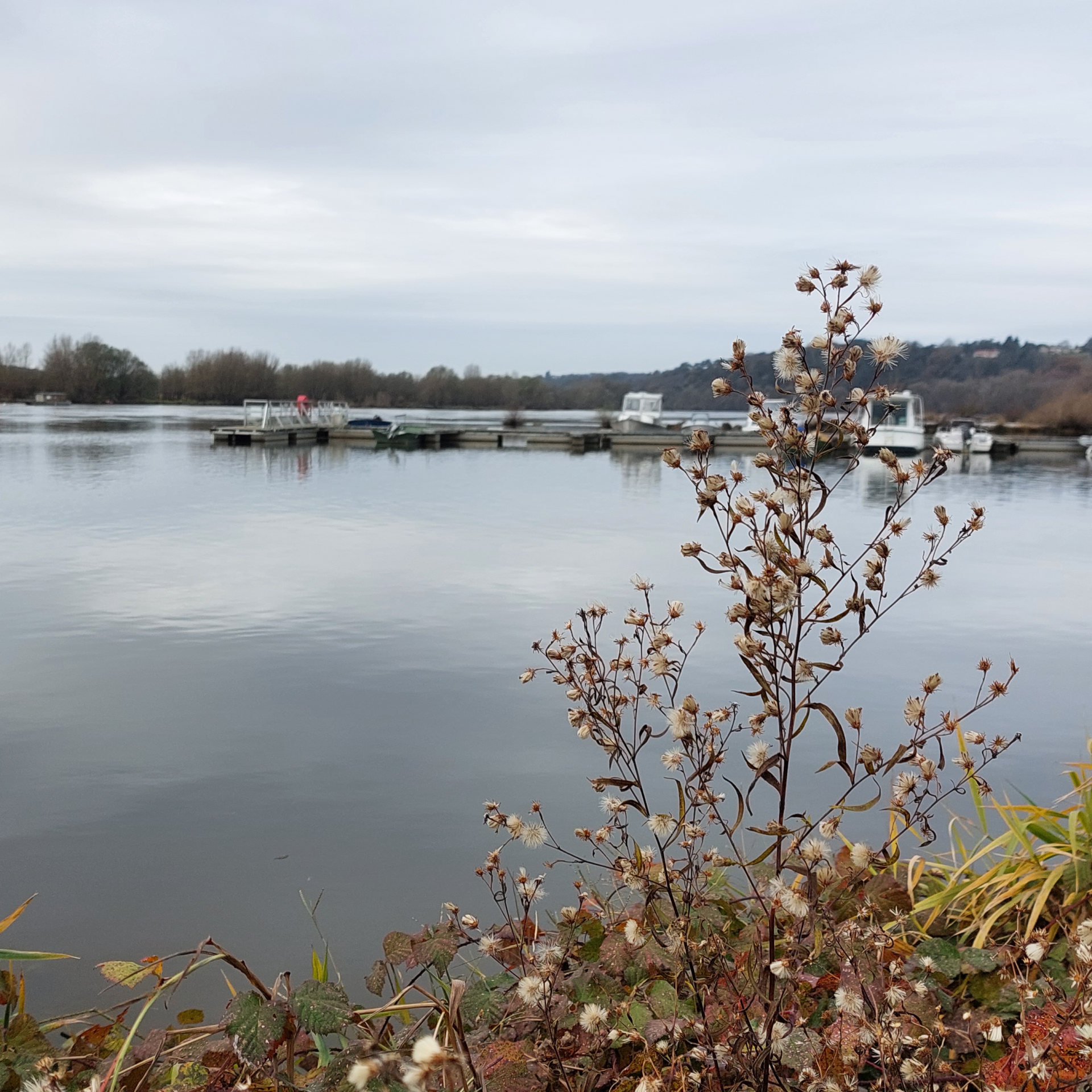 PENSER LOCAL : UN ENJEU DE SOCIÉTÉ >> LOIRE ESTUAIRE GRAND LIEU