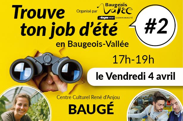 Baugeois-Vallée. Succès pour le Forum Job d’été