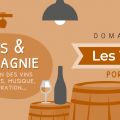 Portes Ouvertes - Domaine Bodineau - Les Verchers-sur-Layon