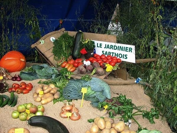 ON EN PARLE ENSEMBLE : DES CONSEILS DE JARDINAGE AVEC LES JARDINIERS SARTHOIS