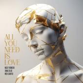 Nicky Romero - All You Need Is Love