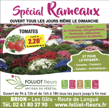 Folliot Fleurs - Brion - Spécial Rameaux