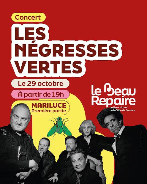 Concert - Les Négresses Vertes - Saumur