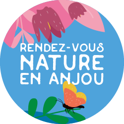 L'ACTU : NOYANT-VILLAGES : OISEAUX ET BIODIVERSITÉ DES LANDES : RENDEZ-VOUS REPORTÉ