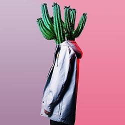 Plüm - Cactus Dream