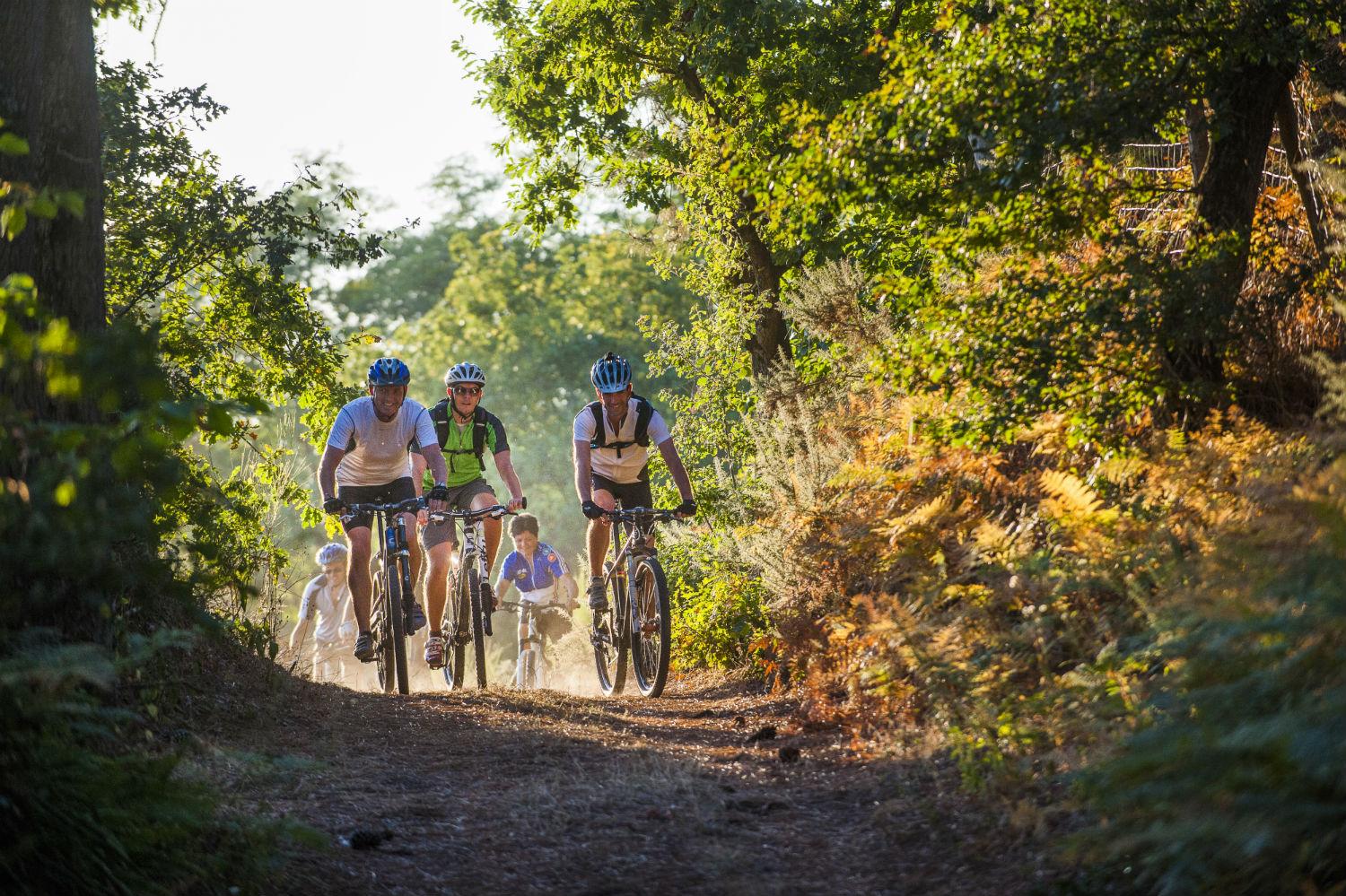 Rando VTT