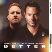 Sam Feldt - Better Ft. Gavin James