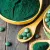 ON EN PARLE ENSEMBLE : FÊTE DE LA SPIRULINE LE TEMPS D'UN WEEK-END