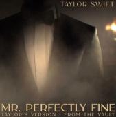 Taylor Swift - Mr. Perfectly Fine
