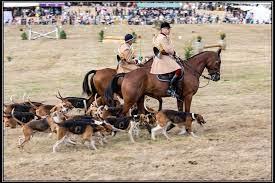 Fête de la Chasse - Vernoil-le-Fourrier (49)