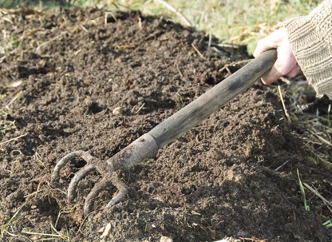 ON EN PARLE ENSEMBLE : UN NOUVEAU JARDIN PARTAGE A LONGUE-JUMELLES